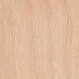 Wood_Species_Birch_Yellow