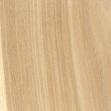 Wood_Species_Hickory