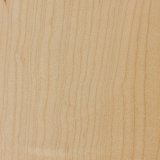 Wood_Species_Maple_Hard_02