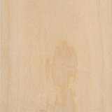 Wood_Species_Pine_Western_White