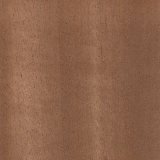 Wood_Species_Walnut