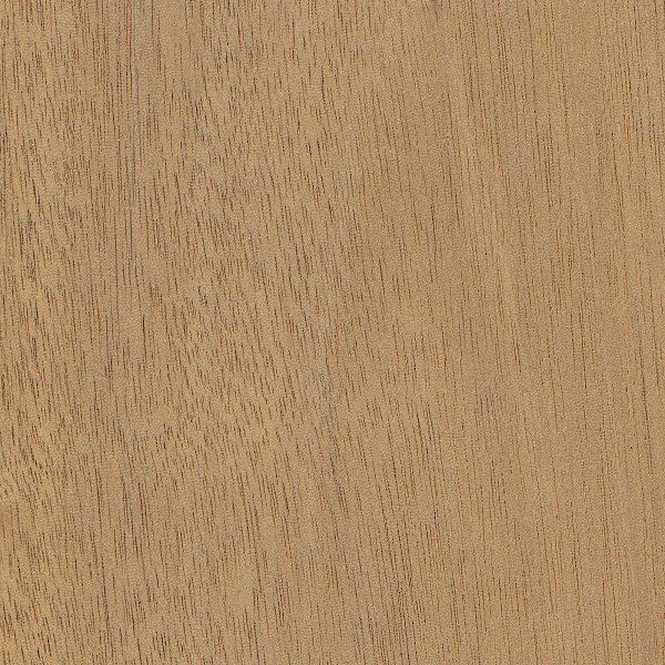 Wood_Species_Mahogany_Honduran
